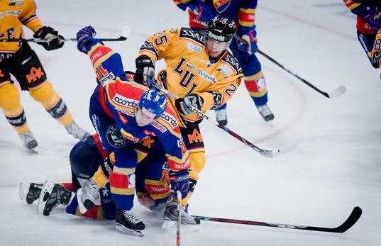 Patric Hörnqvist, Djurgården och Lubos Bartecko, Luleå