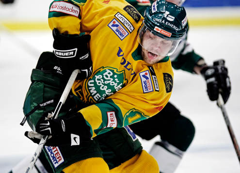 Johan Bergmark, Björklöven