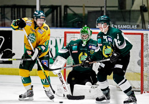 Johan Bergmark, Björklöven, Henrik Karlsson, målvakt,