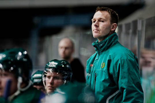 Krister Falk, tränare, Hammarby