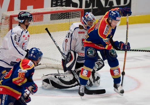 Rastislav Stana, målvakt, Linköping och Patric