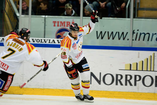 Pavel Bredl, Brynäs (jubel)