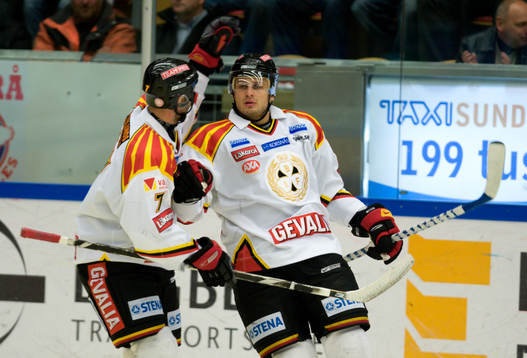 Pavel Bredl, Brynäs (jubel)