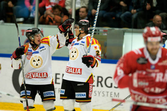 Pavel Bredl, Brynäs (jubel)