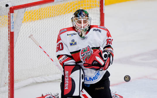 Karol Krizan, målvakt, Modo