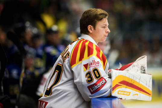 Ishockey, Elitserien, Daniel Sperrle, målvakt, Brynäs