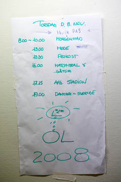 Danmarks schema för dagens match
