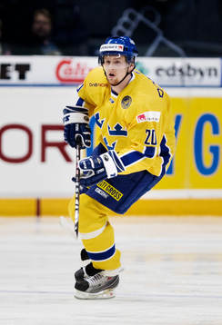 Daniel Fernholm, Sverige