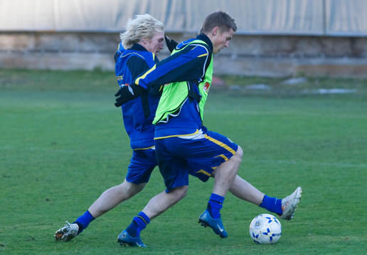 Petter Hansson och Markus Rosenberg, Sverige