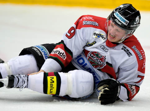 Fredrik Warg, Modo (skada)