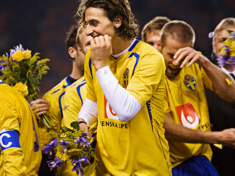 Zlatan Ibrahimovic, Sverige