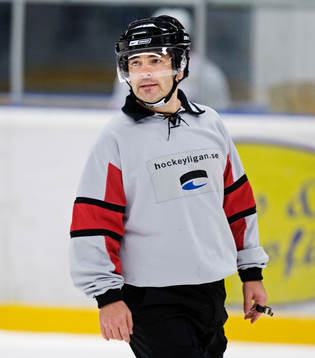 Brent Rieber, Domare