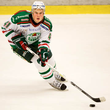Martin Johansson, Rögle