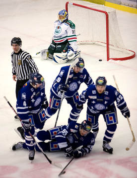 Andreas Andersson, målvakt, Rögle, depp