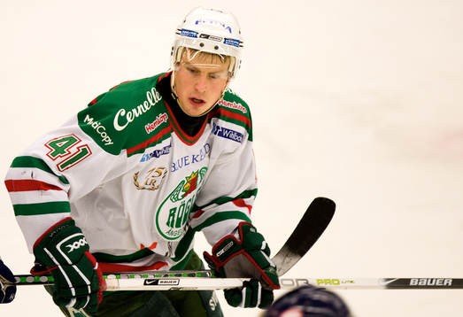 Martin Johansson, Rögle