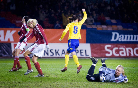Lotta Schelin, Sverige, jubel