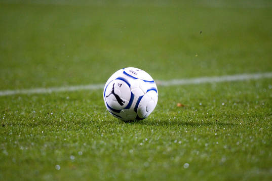 Boll, Puma, genre