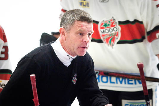 Harald Lückner, Tränare