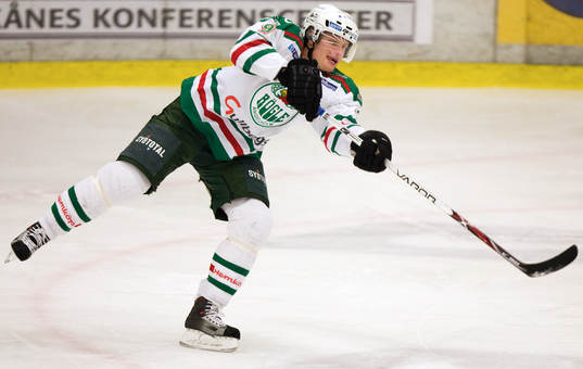 Stefan Erkgärds