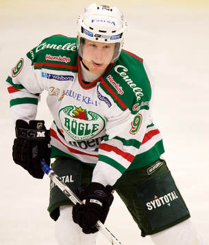 Stefan Erkgärds