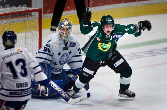 Robin Jalkerud, Hammarby, jubel