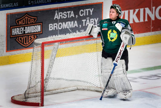 Carl-Johan Klint, Målvakt, Hammarby, depp