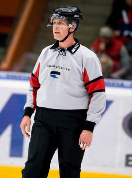 Ulf Rönnmark, domare