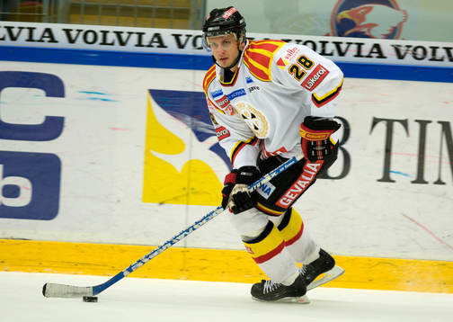 Pavel Brendl, Brynäs