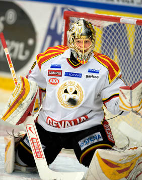 Daniel Sperrle, Målvakt, Brynäs