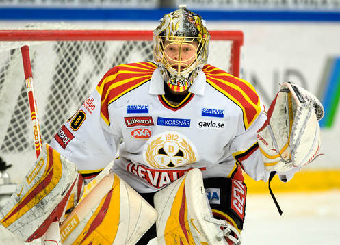 Daniel Sperrle, Målvakt, Brynäs