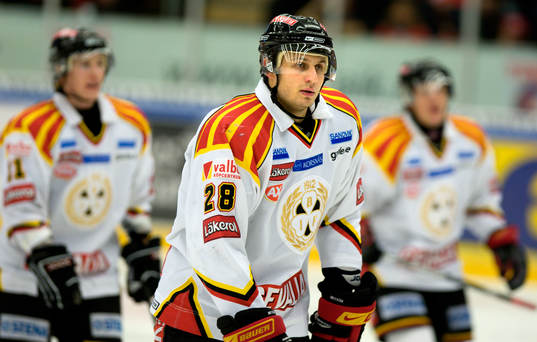 Pavel Brendl, Brynäs