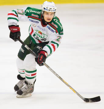 Johannes Salmonsson