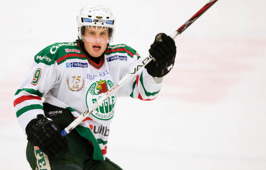 Stefan Erkgärds