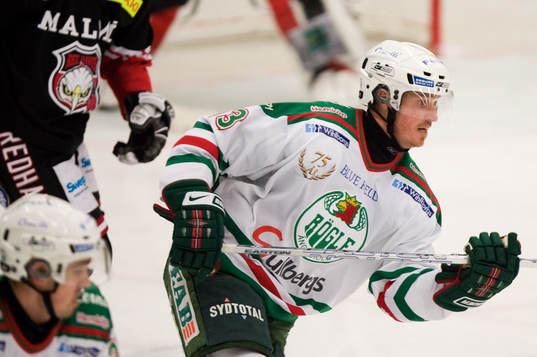 Brett Harkins, Rögle