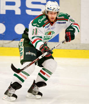 Linus Persson, Rögle