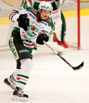 Stefan Erkgärds, Rögle