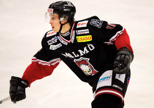 Robin Alvares, Malmö