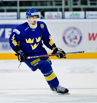 Tomas Skogs, Sverige