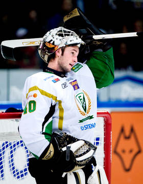 Bläddra bland fler bilder av Ishockey, Elitserien, Frölunda - Färjestad