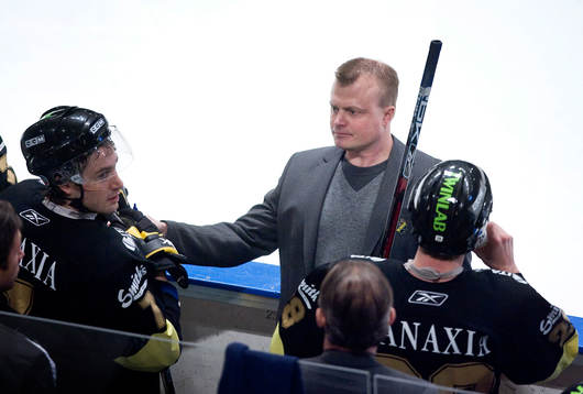 Anders Gozzi, Tränare AIK