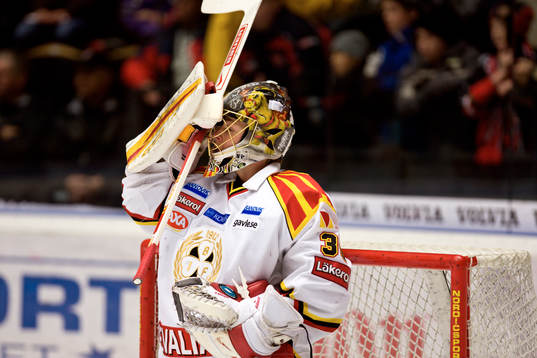 Daniel Sperrle, Målvakt Brynäs