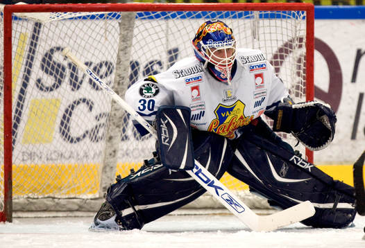 Viktor Fasth, målvakt