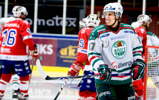 Christofer Löfberg, Rögle