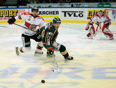 Pierre Hedin, Karol Krizan, målvakt, Modo och Tuukka