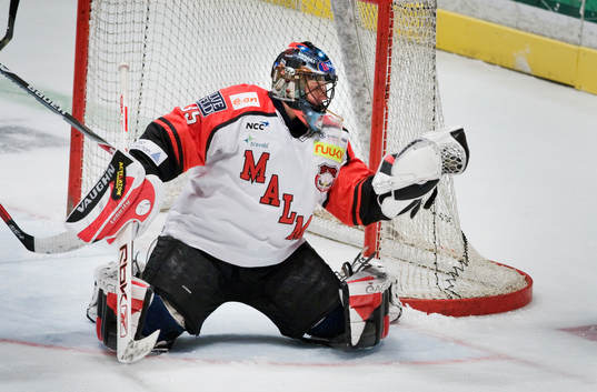Jani Hurme, Målvakt Malmö