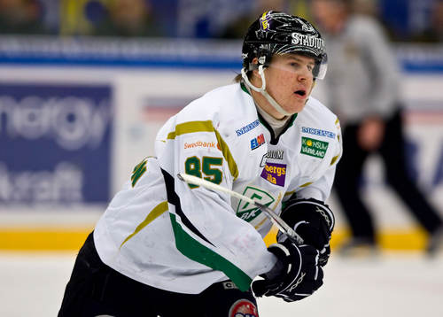 Mikael Johansson, Färjestad