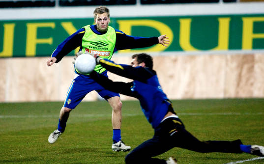 Sebastian Larsson, Sverige