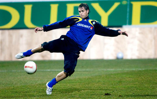 Johan Elmander, Sverige