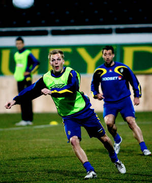 Sebastian Larsson, Sverige