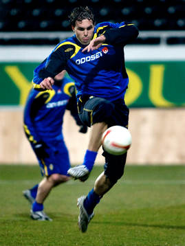 Johan Elmander, Sverige